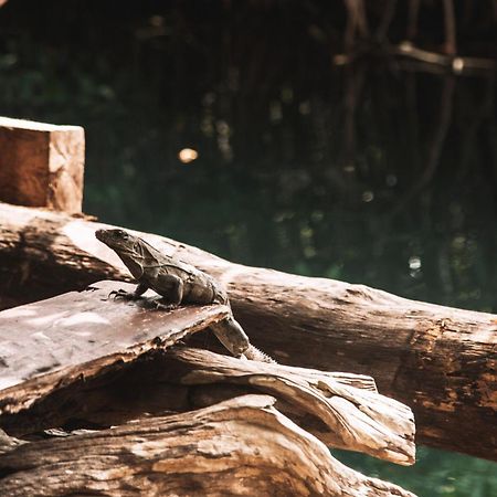 Uman Glamping & Cenote Tulum Otel Dış mekan fotoğraf