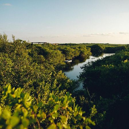 Uman Glamping & Cenote Tulum Otel Dış mekan fotoğraf