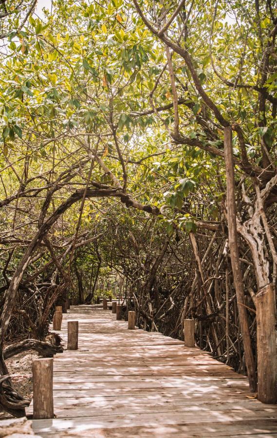 Uman Glamping & Cenote Tulum Otel Dış mekan fotoğraf