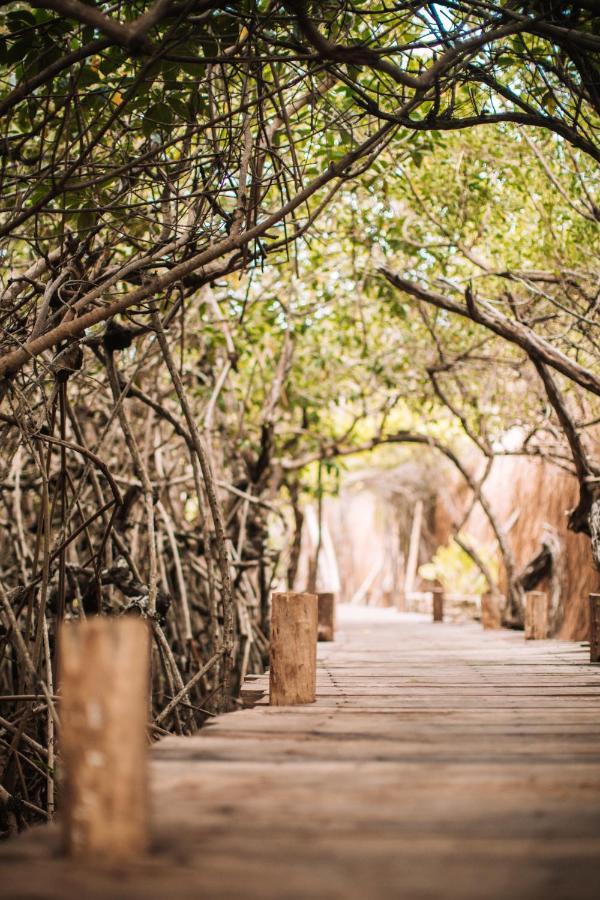 Uman Glamping & Cenote Tulum Otel Dış mekan fotoğraf