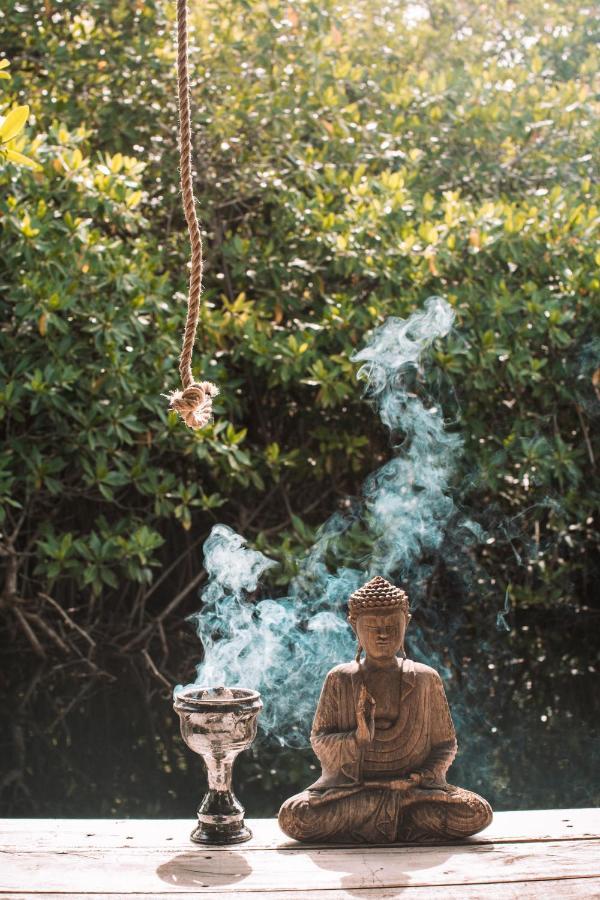 Uman Glamping & Cenote Tulum Otel Dış mekan fotoğraf