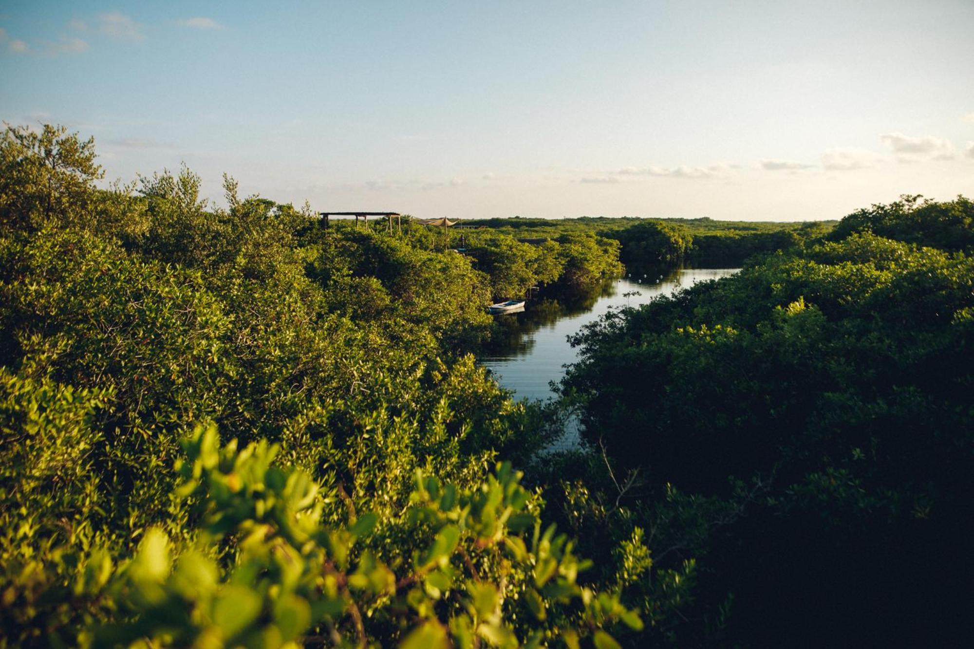 Uman Glamping & Cenote Tulum Otel Dış mekan fotoğraf