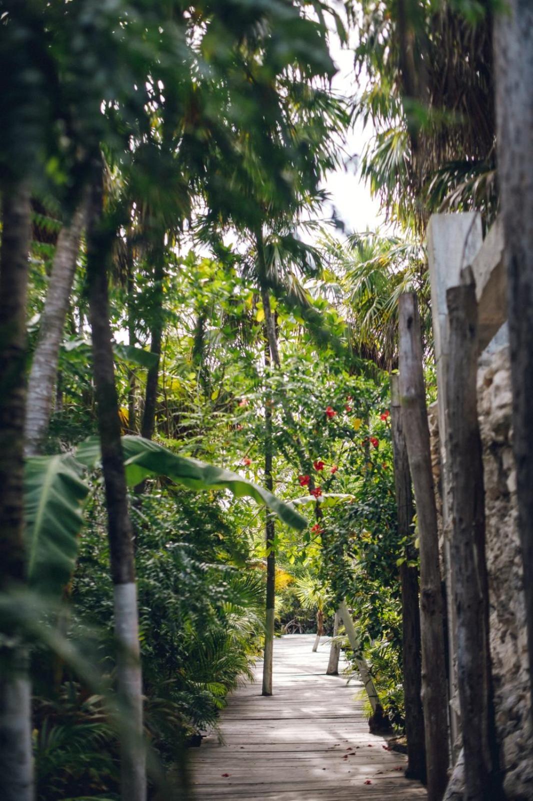 Uman Glamping & Cenote Tulum Otel Dış mekan fotoğraf